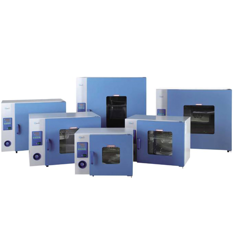 鼓风干燥箱DHG-9203A